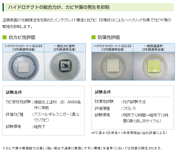 nCheNgJ[R[gECO-EX